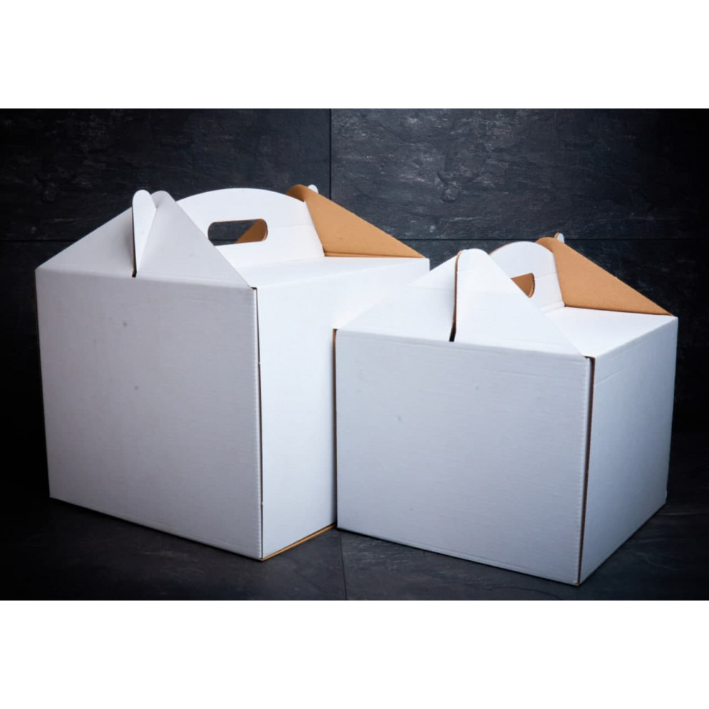 Коробка картонна без вікна